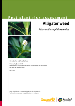 Alligator Weed (Alternanthera Philoxeroides) Is a Perennial Aquatic and Semi-Aquatic Plant Native to Tropical and Subtropical South America