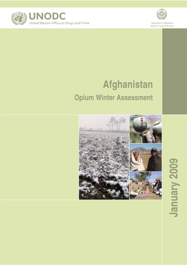 Opium Winter Assessment