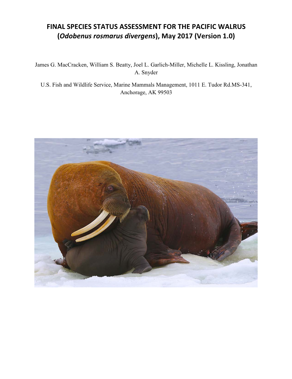 FINAL SPECIES STATUS ASSESSMENT for the PACIFIC WALRUS (Odobenus Rosmarus Divergens), May 2017 (Version 1.0)