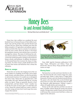 Honey Bees in and Around Buildings Michael Merchant and Molly Keck*