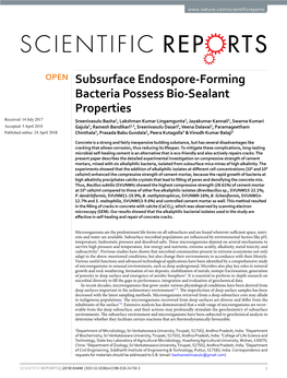 Subsurface Endospore-Forming Bacteria Possess Bio-Sealant