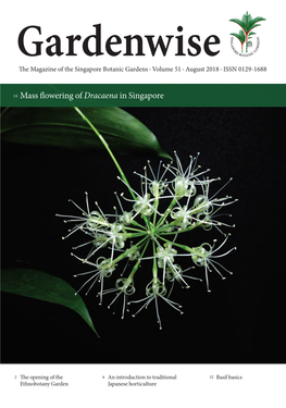 14 Mass Flowering of Dracaena in Singapore