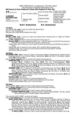 TWO-YEAR-OLD, Consigned by the Elms Stud the Property of Valyrian Bloodstock Ltd