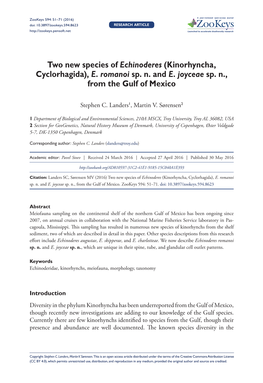 Two New Species of Echinoderes (Kinorhyncha, Cyclorhagida), E. Romanoi Sp. N. and E. Joyceae Sp. N., from the Gulf of Mexico