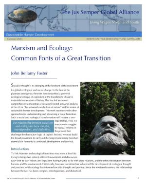 Marxism and Ecology: Common Fonts of a Great Transition