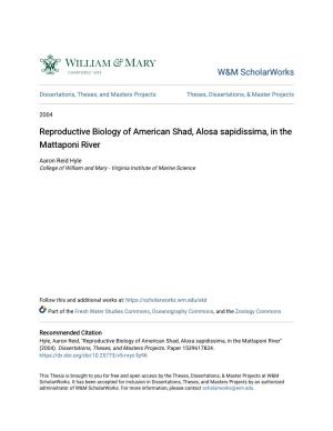 Reproductive Biology of American Shad, Alosa Sapidissima, in the Mattaponi River