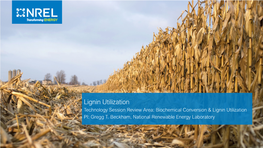 Lignin Utilization Technology Session Review Area: Biochemical Conversion & Lignin Utilization PI: Gregg T