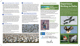 Experience Birding in Delta