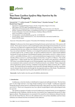 Tree Fern Cyathea Lepifera May Survive by Its Phytotoxic Property