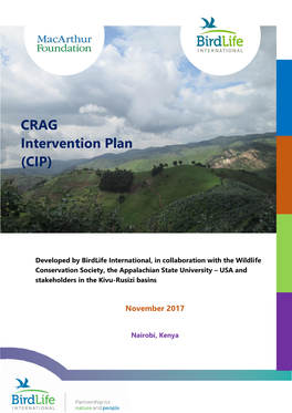 CRAG Intervention Plan (CIP)
