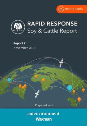 Soy and Cattle: Report 7