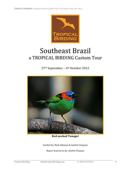 Southeast Brazil Custom Tour Trip Report Sept-Oct 2012