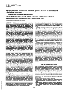 Trigeminal Neurons (Vibria Pad/Barrels/Tract Formation/Organotypic Cocultures) REHA S