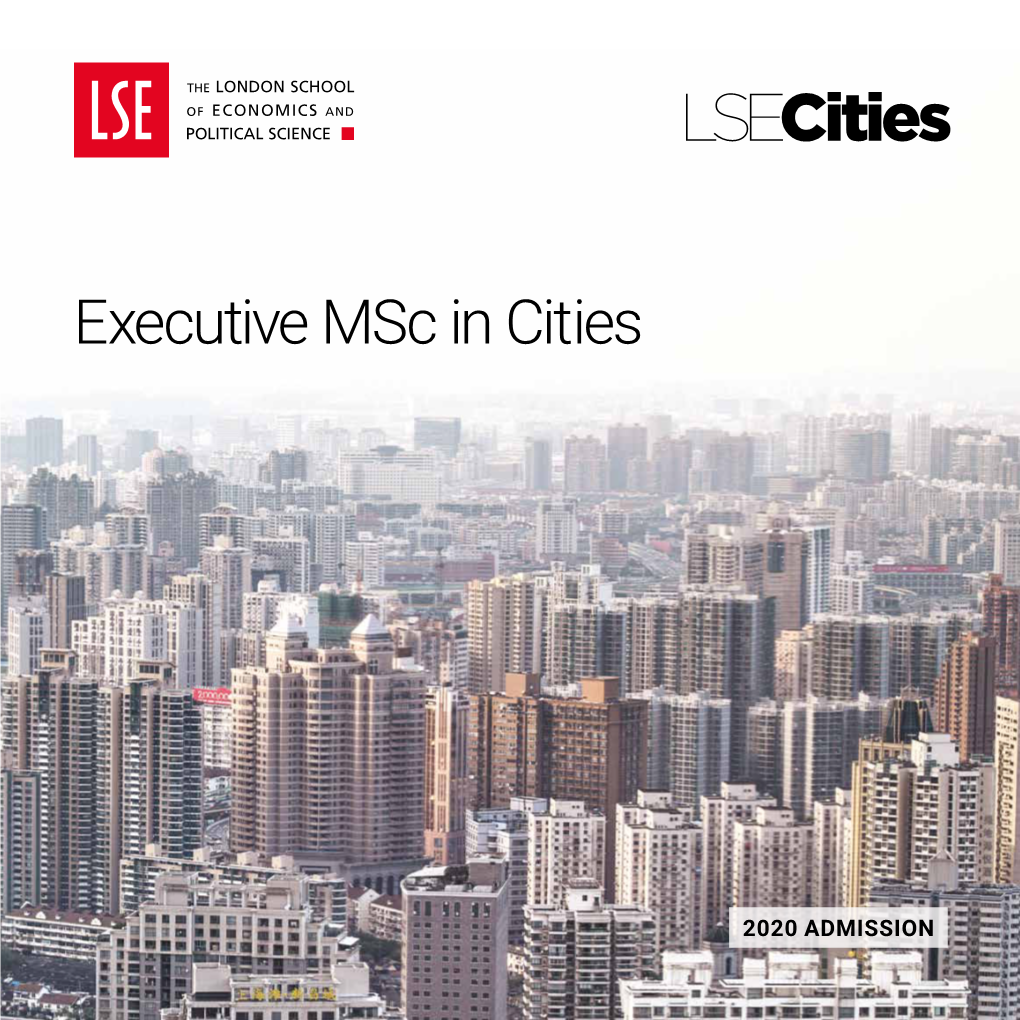 Executive Msc in Cities