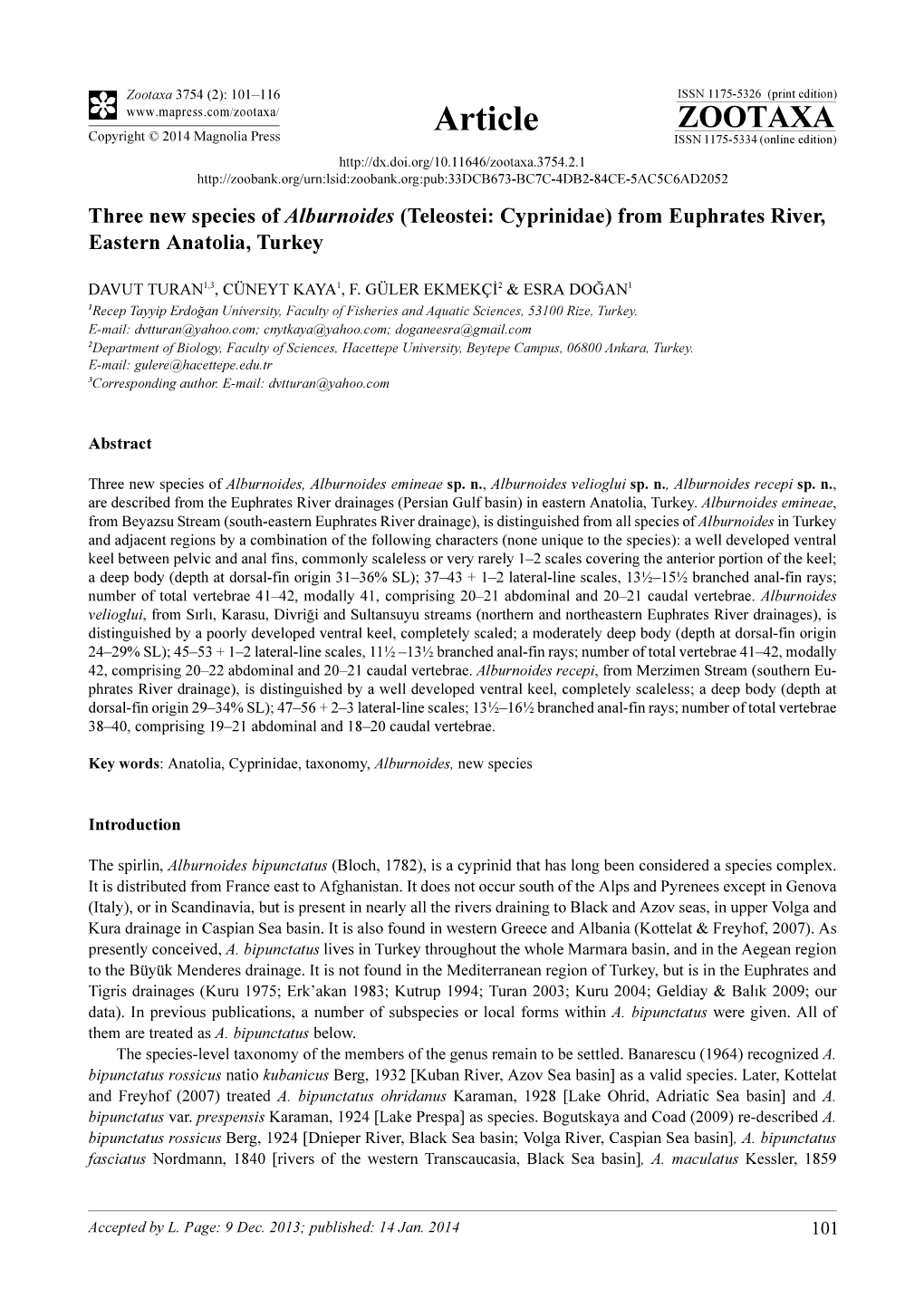 Three New Species of Alburnoides (Teleostei: Cyprinidae) from Euphrates River, Eastern Anatolia, Turkey