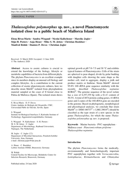 Thalassoglobus Polymorphus Sp. Nov., a Novel Planctomycete Isolated Close to a Public Beach of Mallorca Island