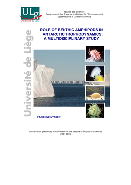 Role of Benthic Amphipods in Antarctic Trophodynamics: a Multidisciplinary Study