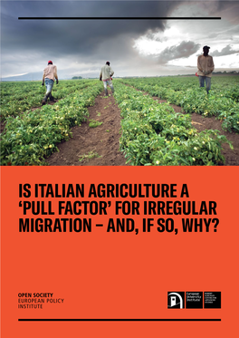 Is Italian Agriculture a 'Pull Factor' for Irregular Migration - And, If So, Why? December 2018