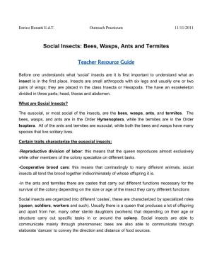 Social Insects: Bees, Wasps, Ants and Termites