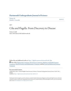 Cilia and Flagella: from Discovery to Disease Dylan J