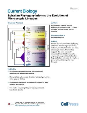 Spiralian Phylogeny Informs the Evolution of Microscopic Lineages