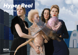 Hyper Real: Visual Arts Education Resource