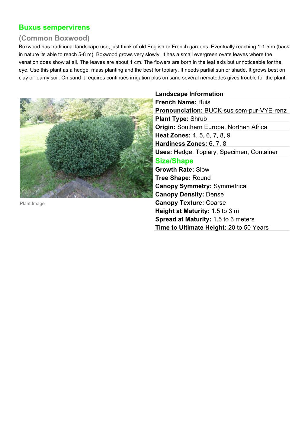 Buxus Sempervirens (Common Boxwood) Size/Shape - DocsLib