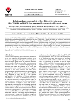 Isolation and Expression Analysis of Three Different Flowering Genes (Ttlfy, Ttap1, and Ttap2) from an Unusual Legume Species, Thermopsis Turcica