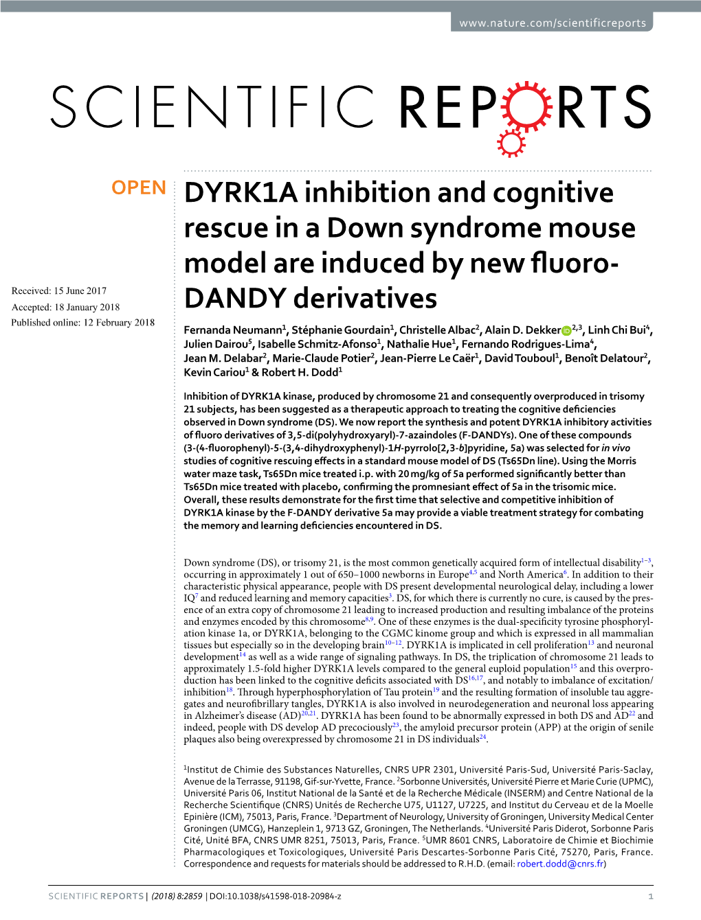 DYRK1A Inhibition and Cognitive Rescue in a Down Syndrome Mouse