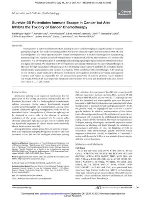 Survivin-3B Potentiates Immune Escape in Cancer but Also Inhibits the Toxicity of Cancer Chemotherapy