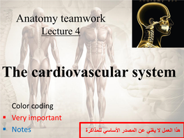 Anatomy Teamwork Lecture 3