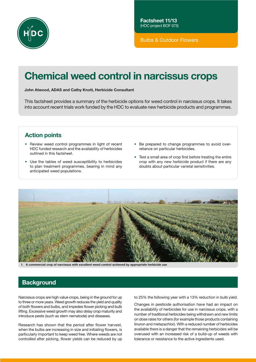Chemical Weed Control in Narcissus Crops