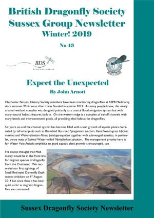 British Dragonfly Society Sussex Group Newsletter Winter! 2019