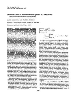 Chemical Nature of Bioluminescence Systems in Coelenterates (Photoprotein/Luciferin/Luciferase/Aequorea/Renilla)