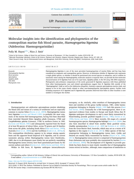 Molecular Insights Into the Identification and Phylogenetics Of