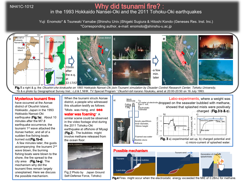 400869 Why Did Tsunami Fires? : in the 1993 Hokkaido Nansei-Oki and The