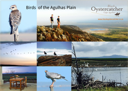 Birds of the Agulhas Plain