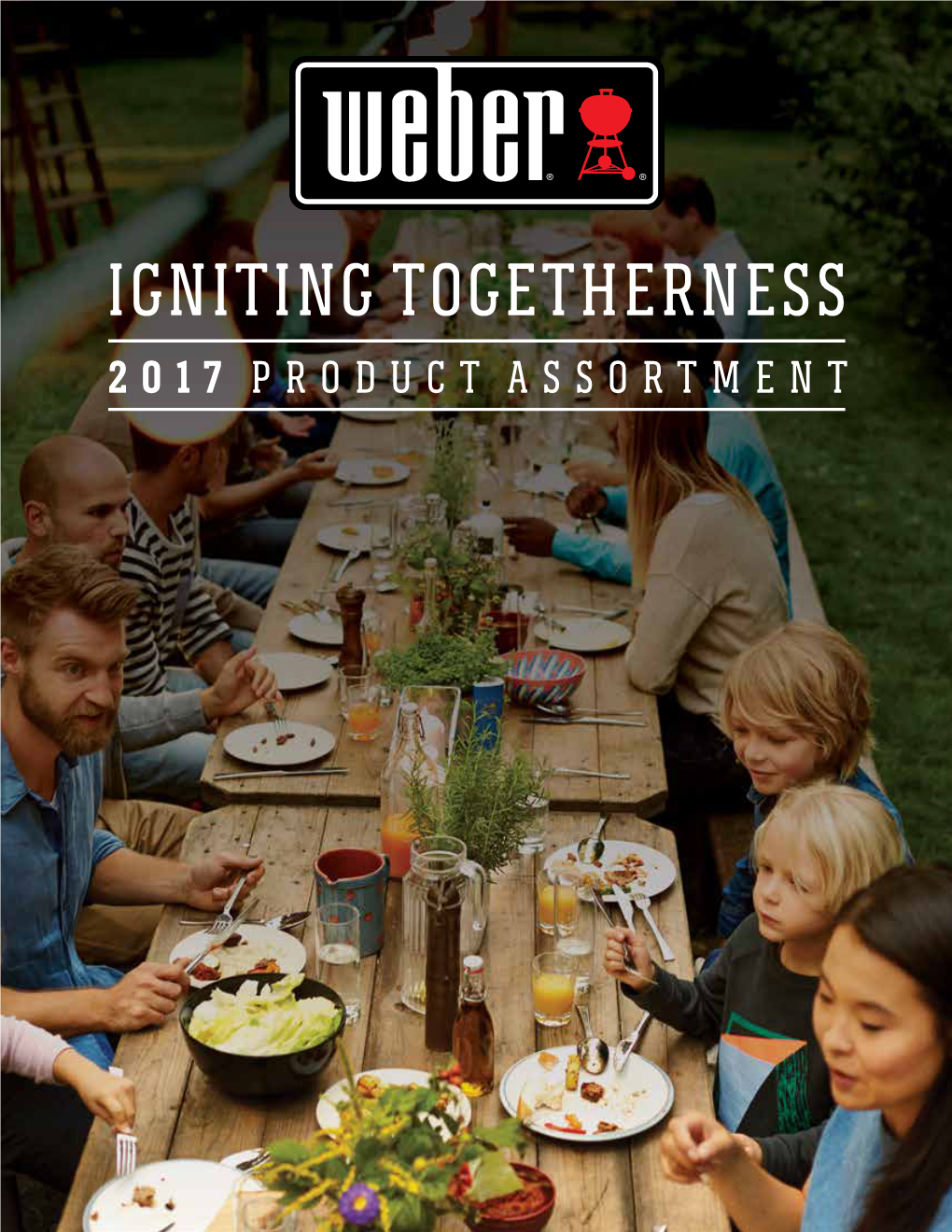 Igniting Togetherness 2017 Product Assortment