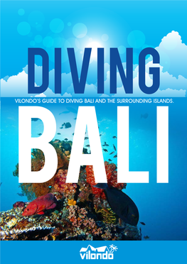 Vilondo's Guide to Diving Bali and the Surrounding Islands