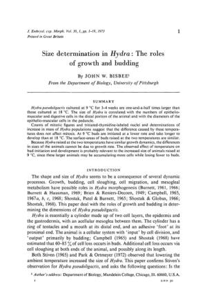 H Size Determination in Hydra: the Roles of Growth and Budding
