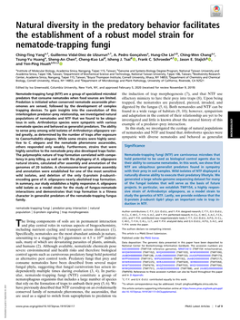 Natural Diversity in the Predatory Behavior Facilitates the Establishment of a Robust Model Strain for Nematode-Trapping Fungi