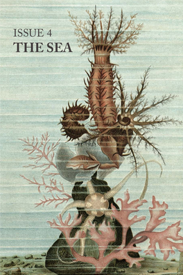 THE SEA Published by Peculiar Mormyrid Peculiarmormyrid.Com
