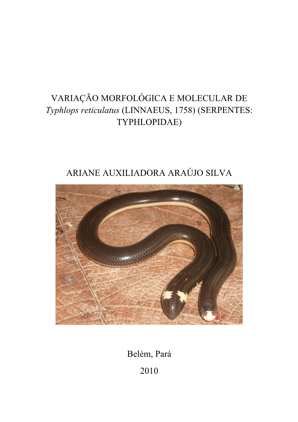 Serpentes: Typhlopidae)