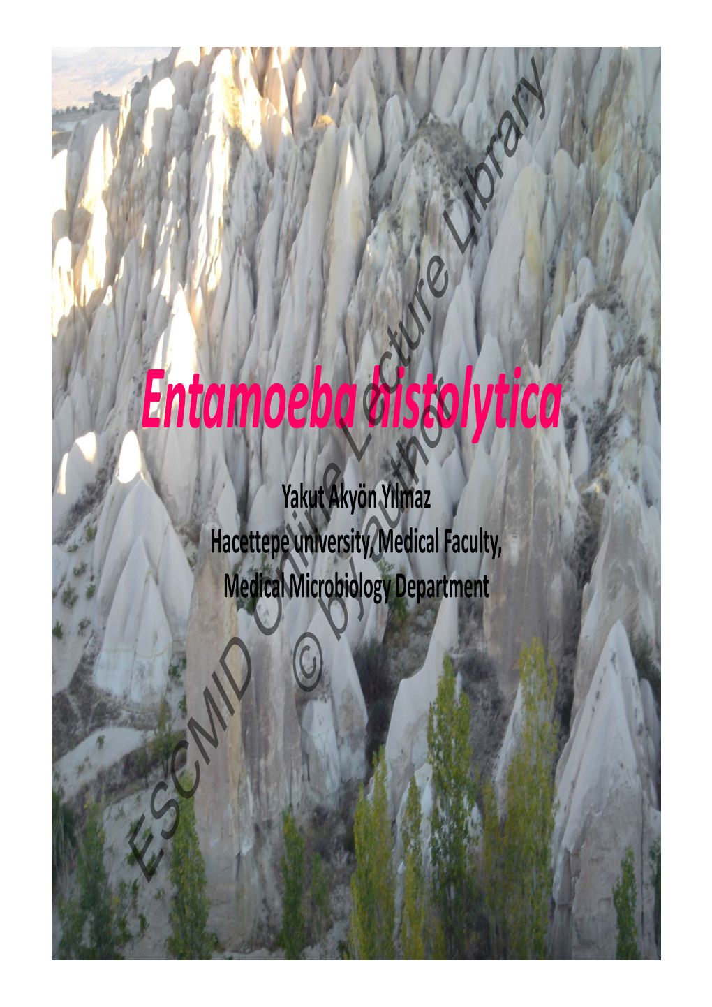 Entamoeba Histolytica Entamoeba Histolytica
