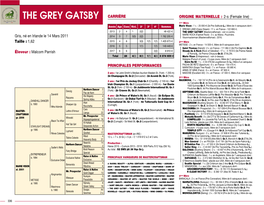 THE GREY GATSBY CARRIÈRE ORIGINE MATERNELLE : 2-S (Female Line) 1Ère Mère E Année Age Cses Vict