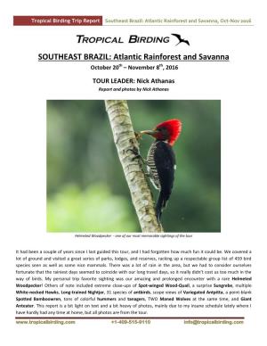 Southeast Brazil: Atlantic Rainforest and Savanna, Oct-Nov 2016