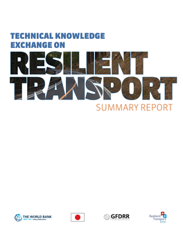 Resilient Transport Summary Report (PDF)