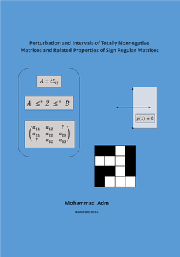 Perturbation and Intervals of Totally Nonnegative Matrices and Related Properties of Sign Regular Matrices