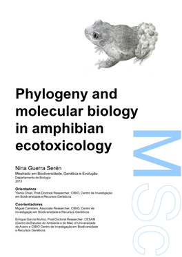 Phylogeny and Molecular Biology in Amphibian Ecotoxicology