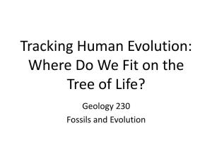 Tracking Human Evolution: Where Do We Fit on the Tree of Life?